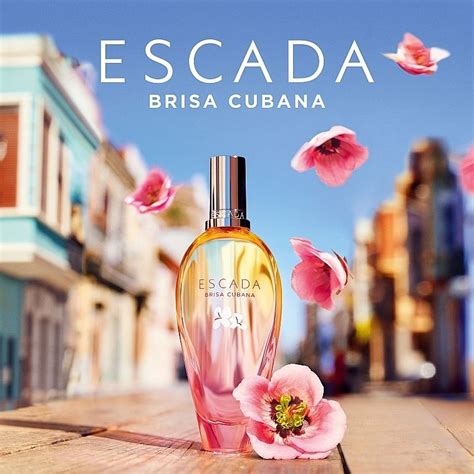 escada parfum 2024